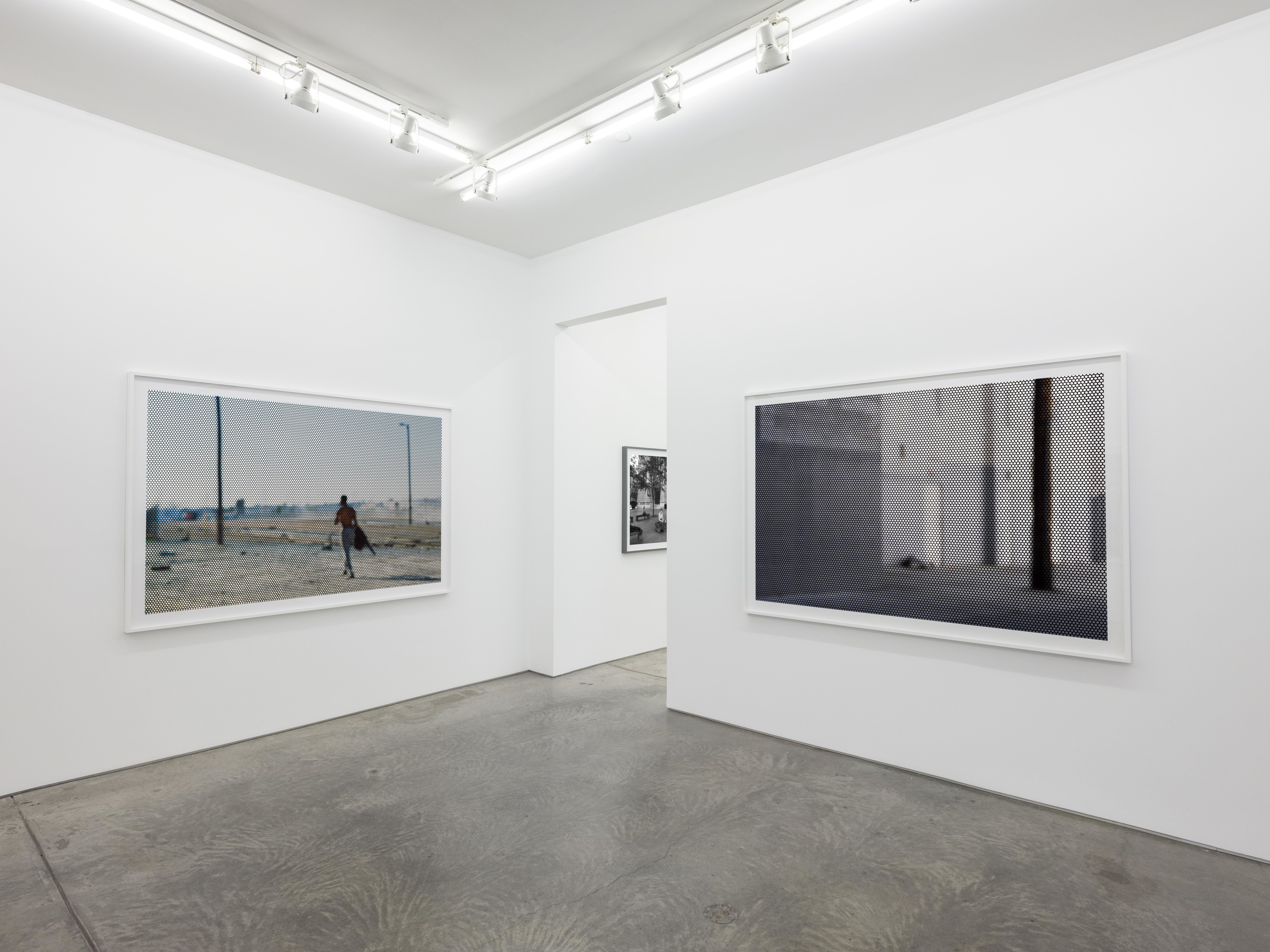 Installation view.