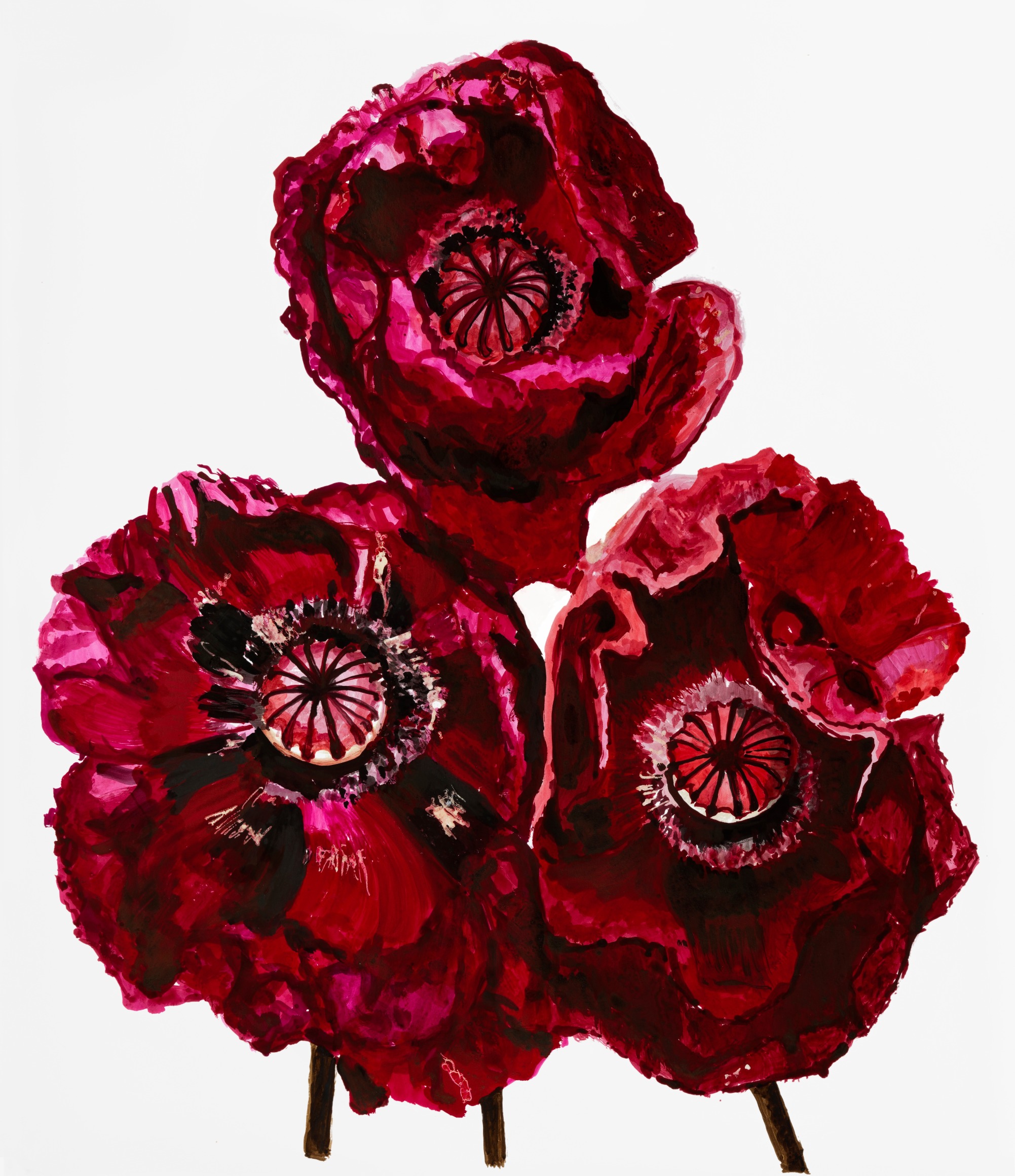 Sharon Core, Poppy: Arab Chief, Page 11, 2023. Archival ink on paper, 20 x 17 inches.