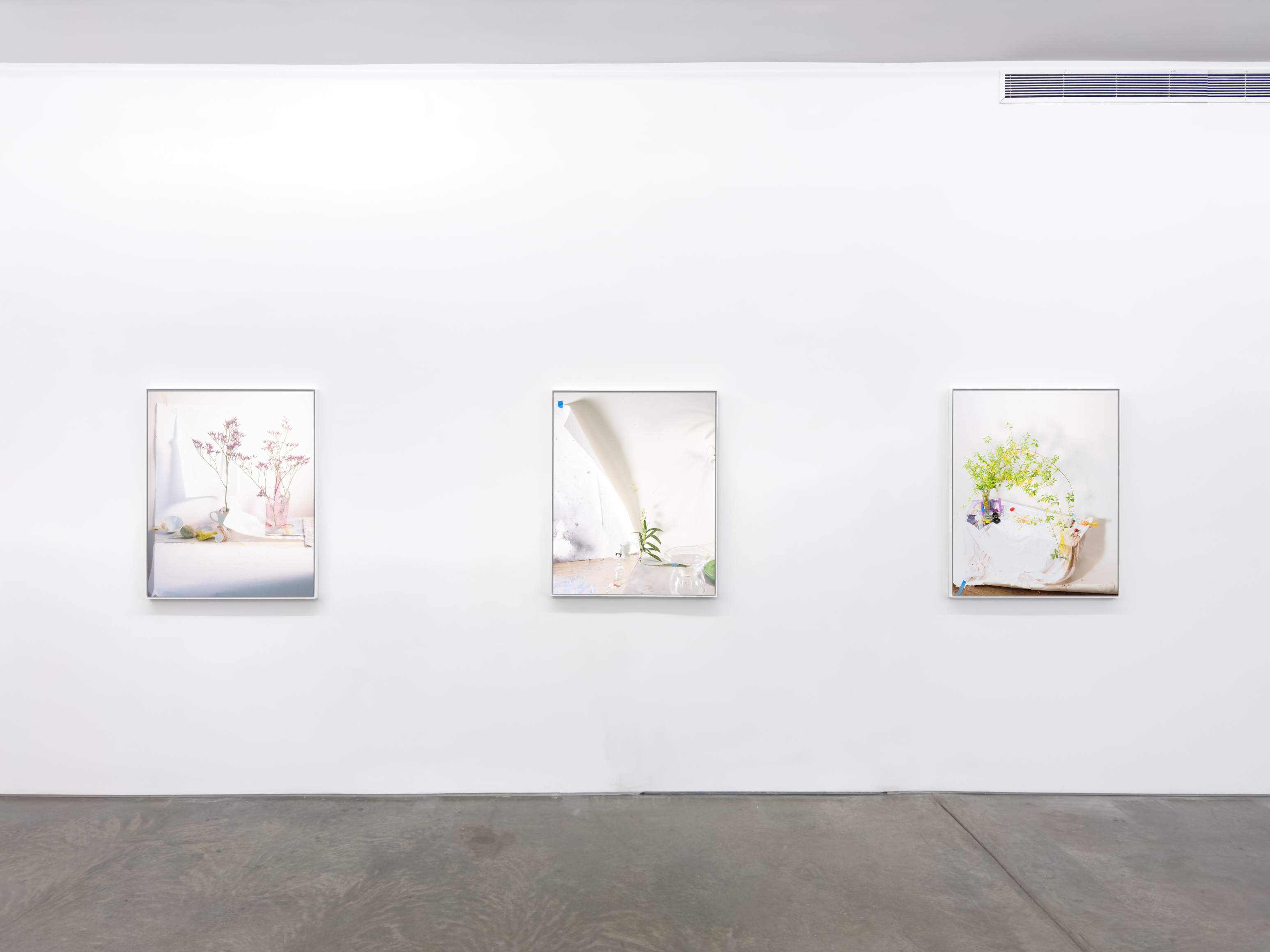 Installation view, Laura Letinsky, For, and because of..., Yancey Richardson Gallery, 2024.