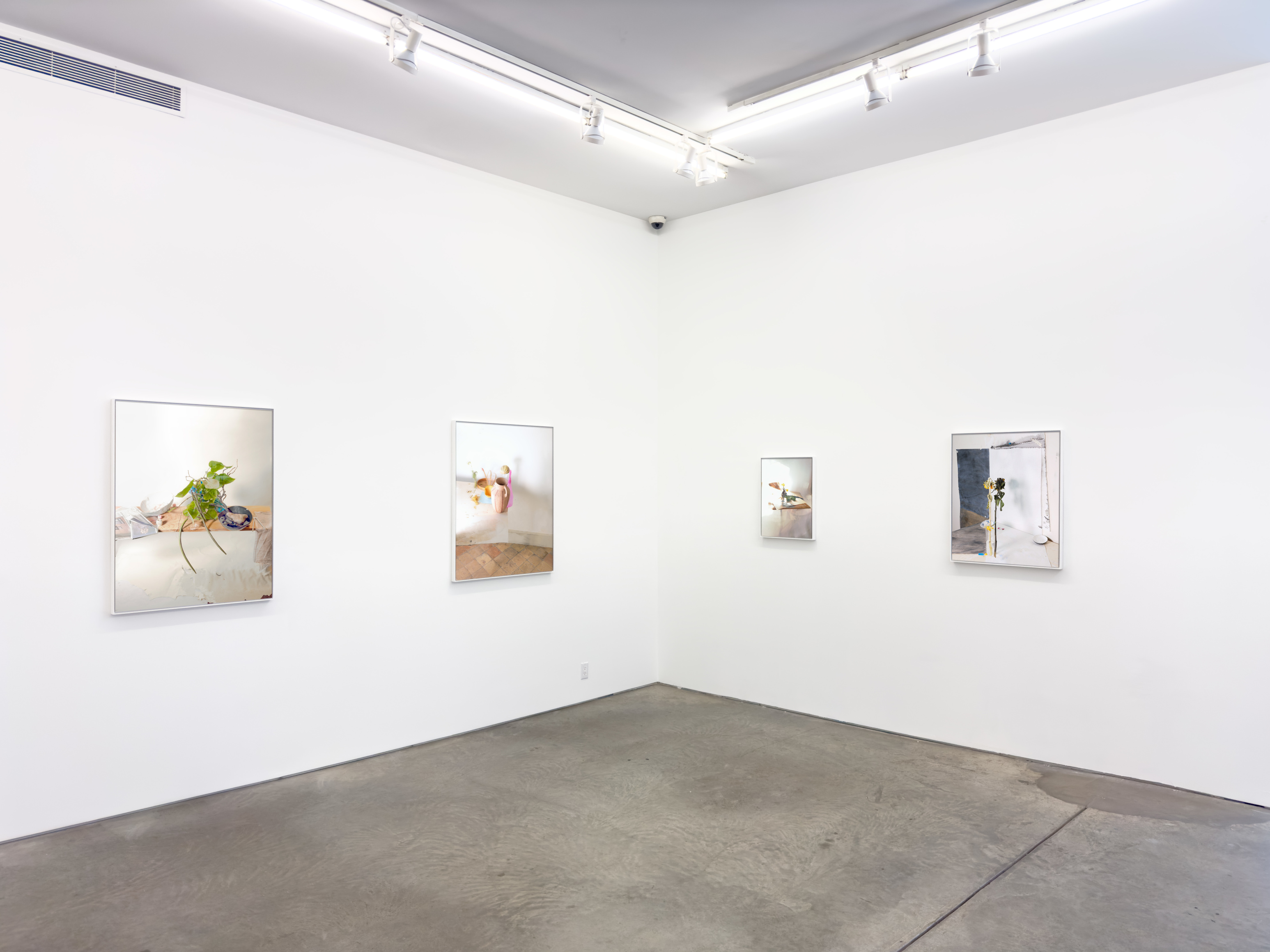 Installation view, Laura Letinsky, For, and because of..., Yancey Richardson Gallery, 2024.
