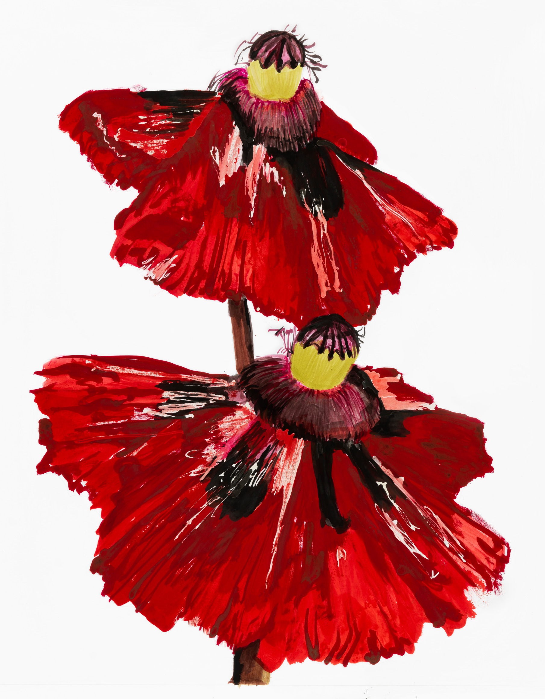 Sharon Core, Poppy: Royal Robe, Page 15, 2022. Archival ink on paper, 20 x 17 inches.