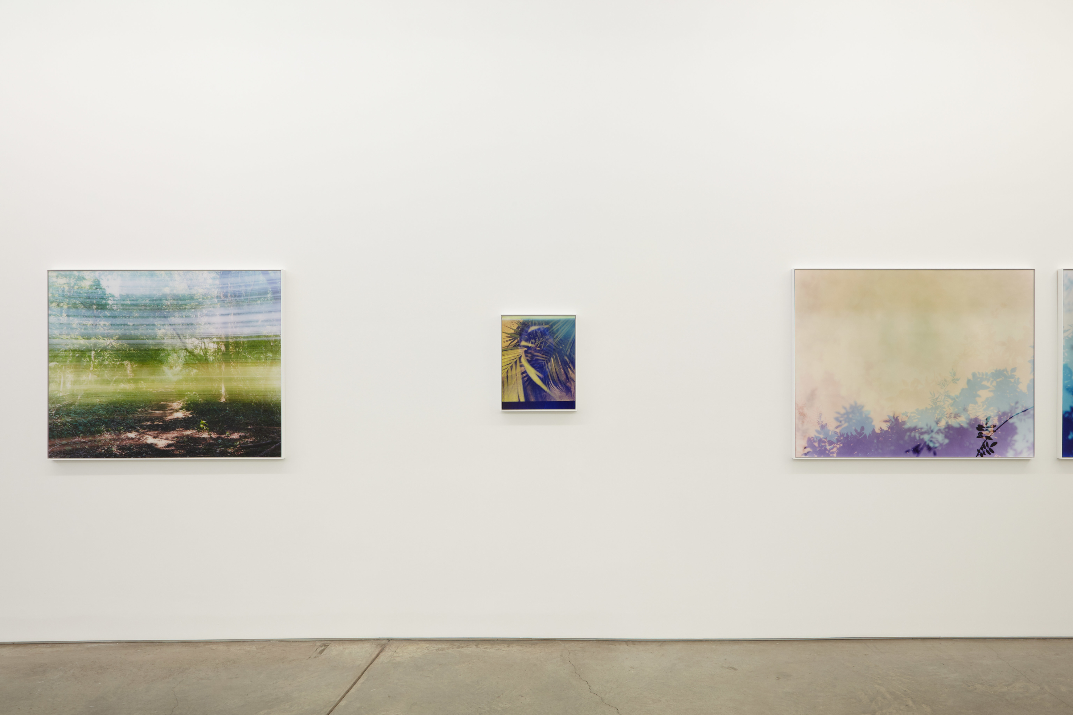 Installation view.