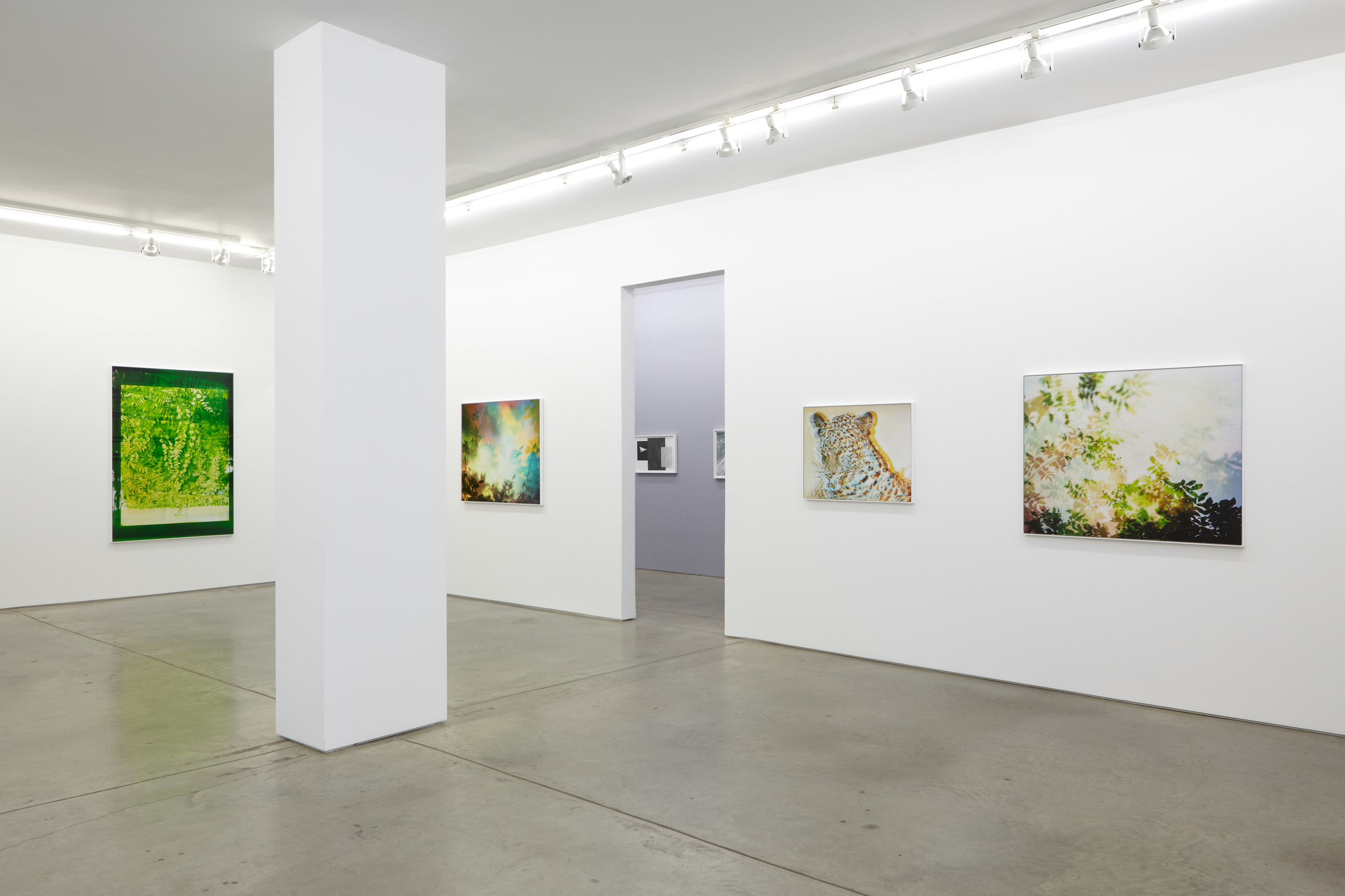 Installation view.