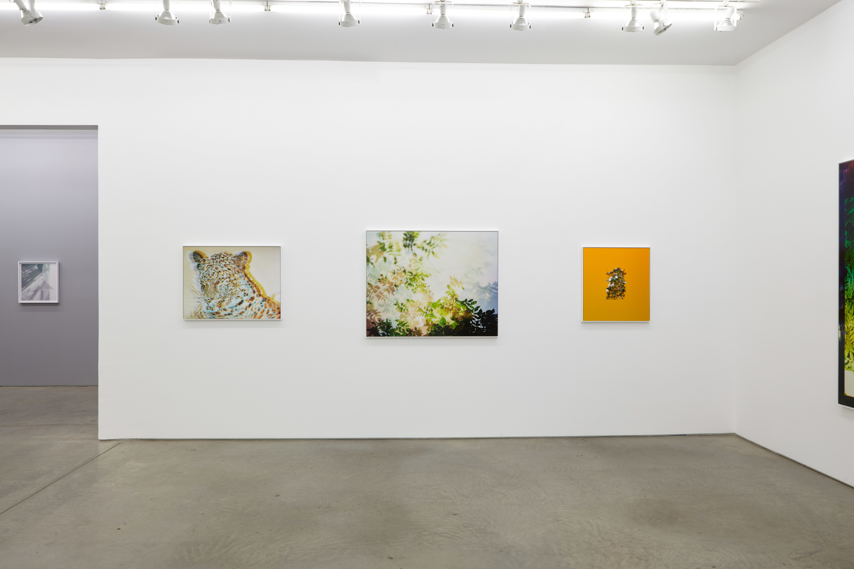 Installation view.