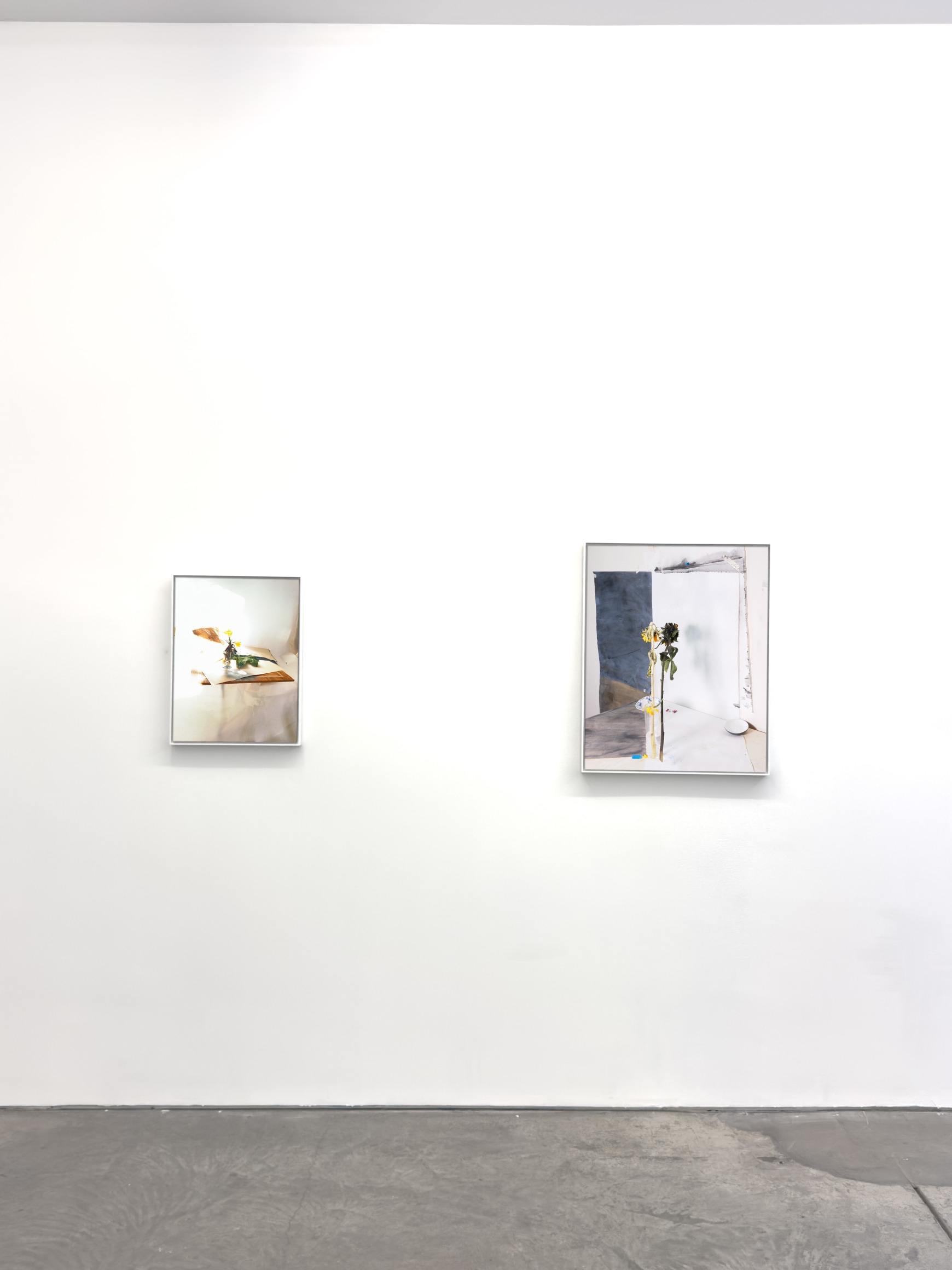 Installation view, Laura Letinsky, For, and because of..., Yancey Richardson Gallery, 2024.