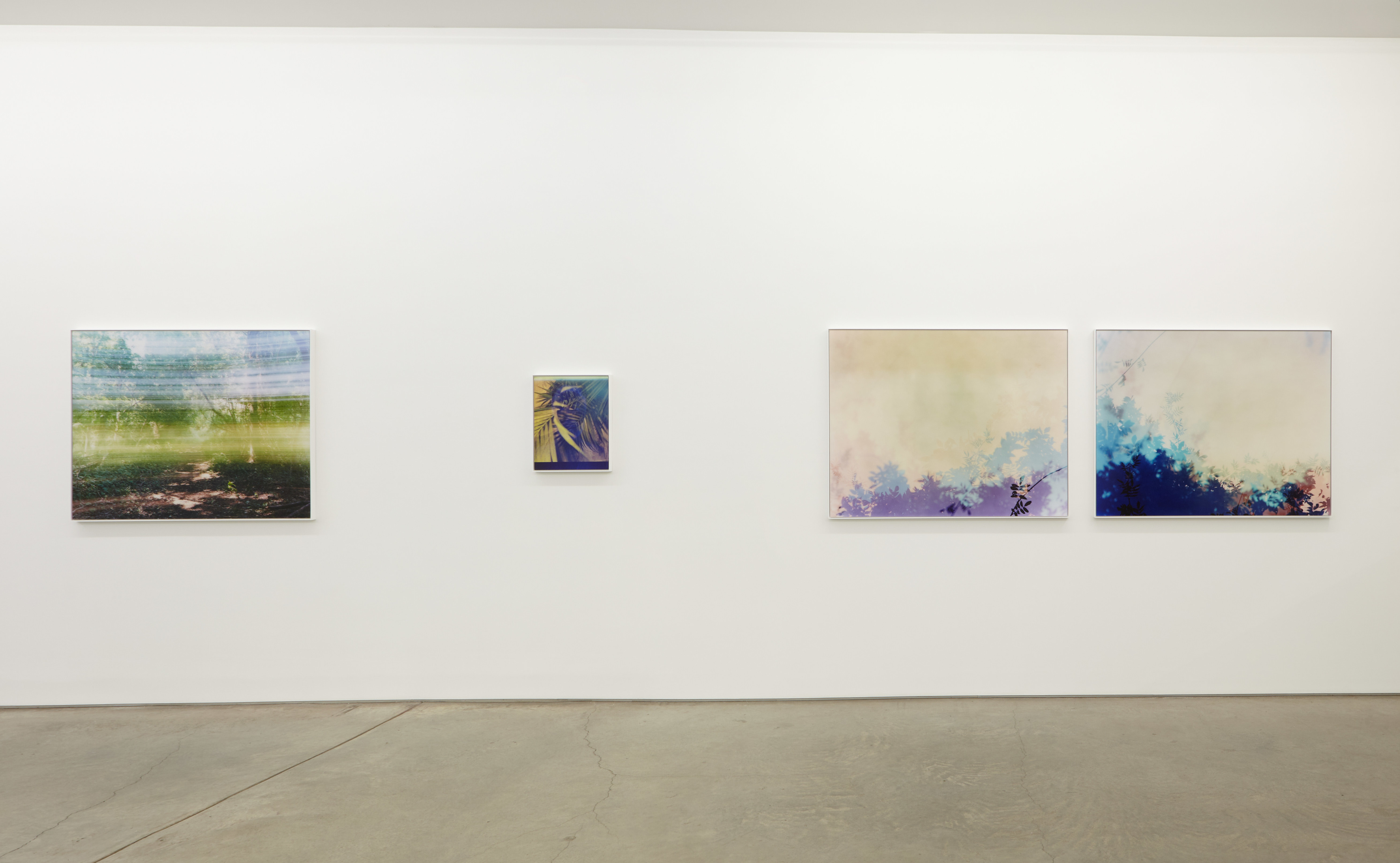 Installation view.
