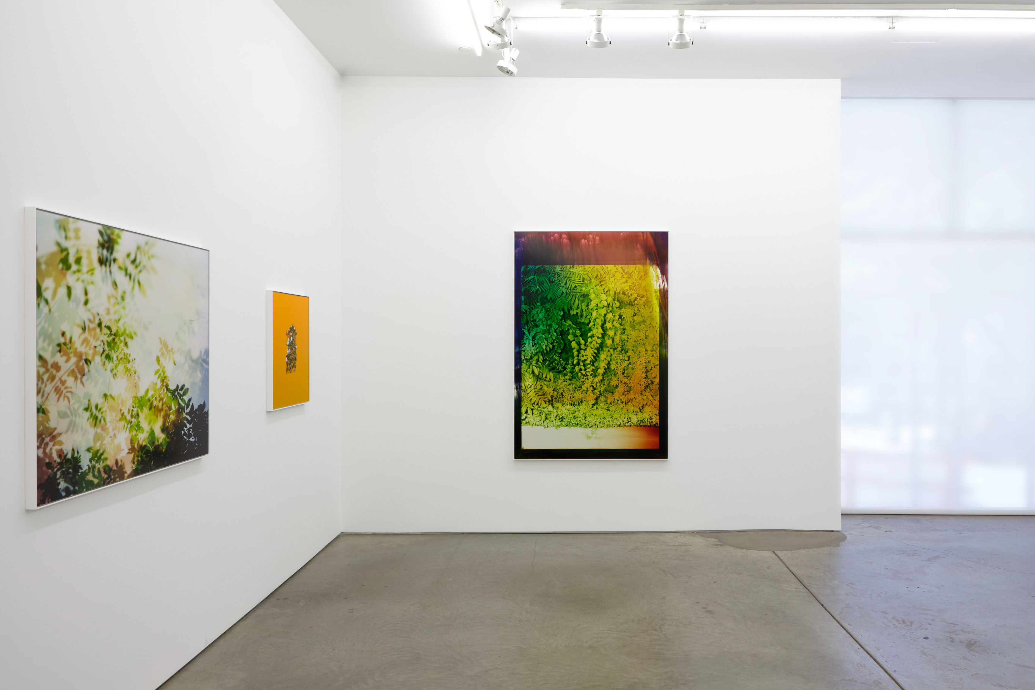 Installation view.