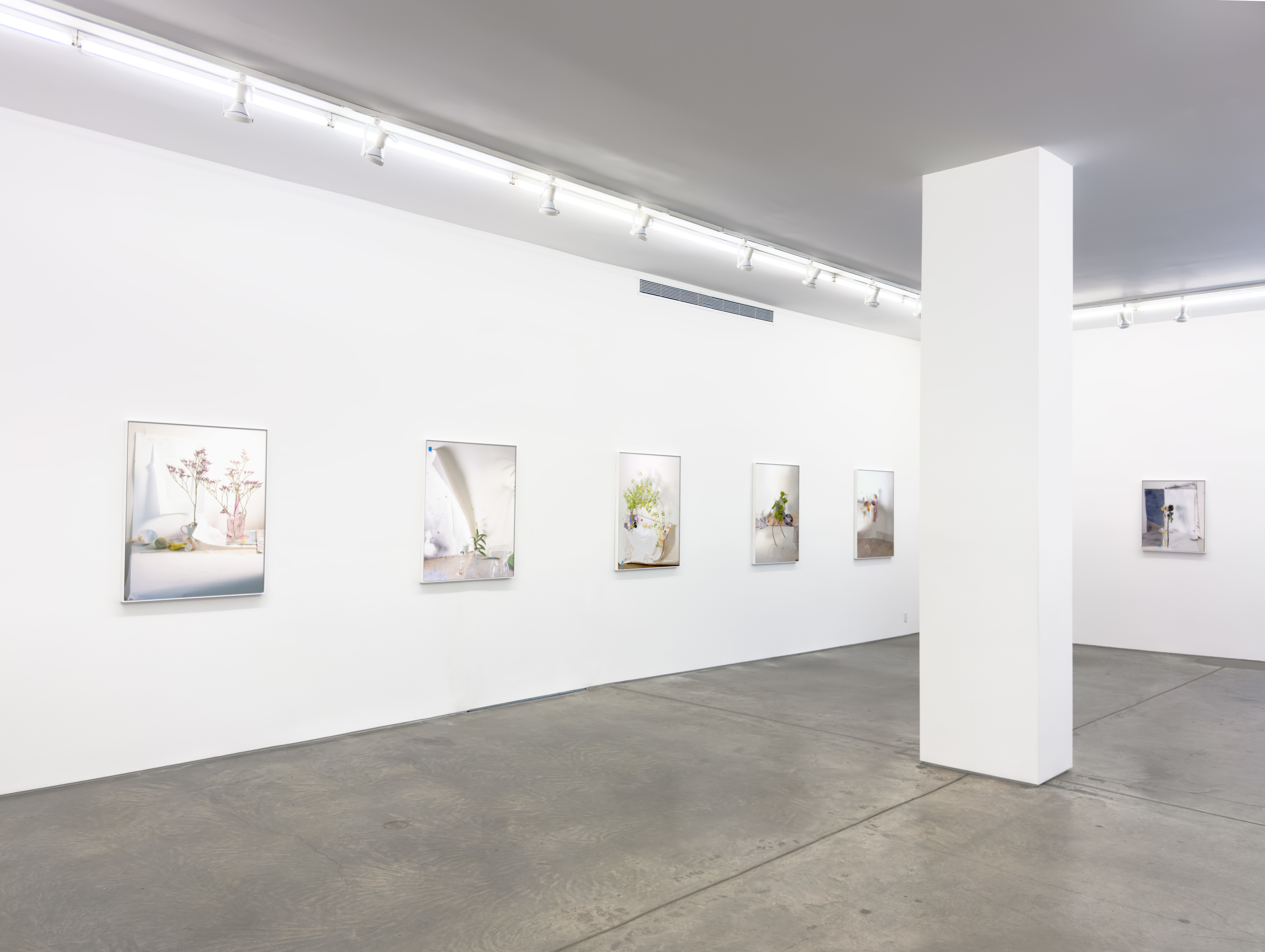 Installation view, Laura Letinsky, For, and because of..., Yancey Richardson Gallery, 2024.