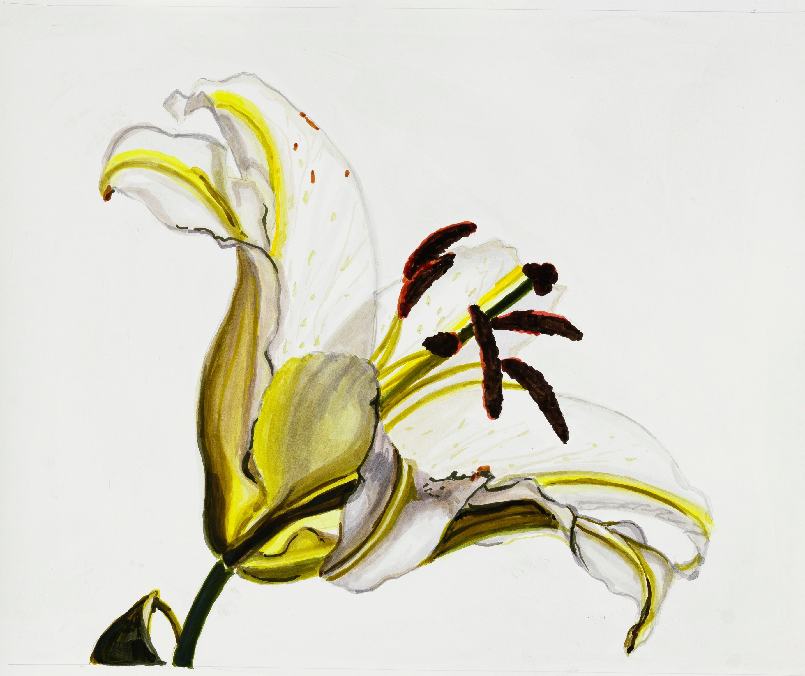 Sharon Core, Lily: Melridge, Page 56, 2022. Archival ink on paper, 19 7/8 x 19 7/8 inches.