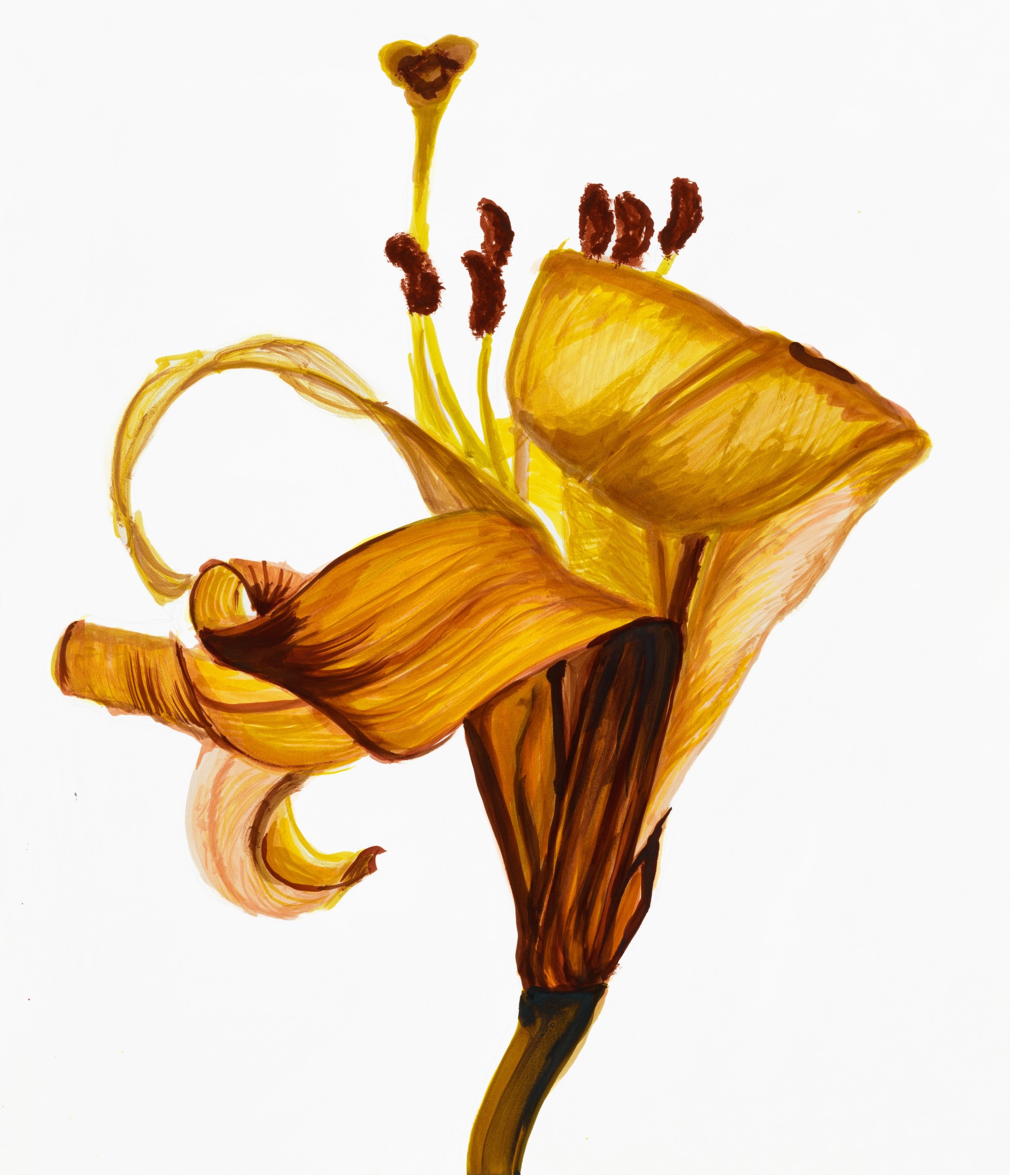 Sharon Core, Lily: Golden Splendor, Page 60, 2023. Archival ink on paper, 19 5/8 x 17 inches.