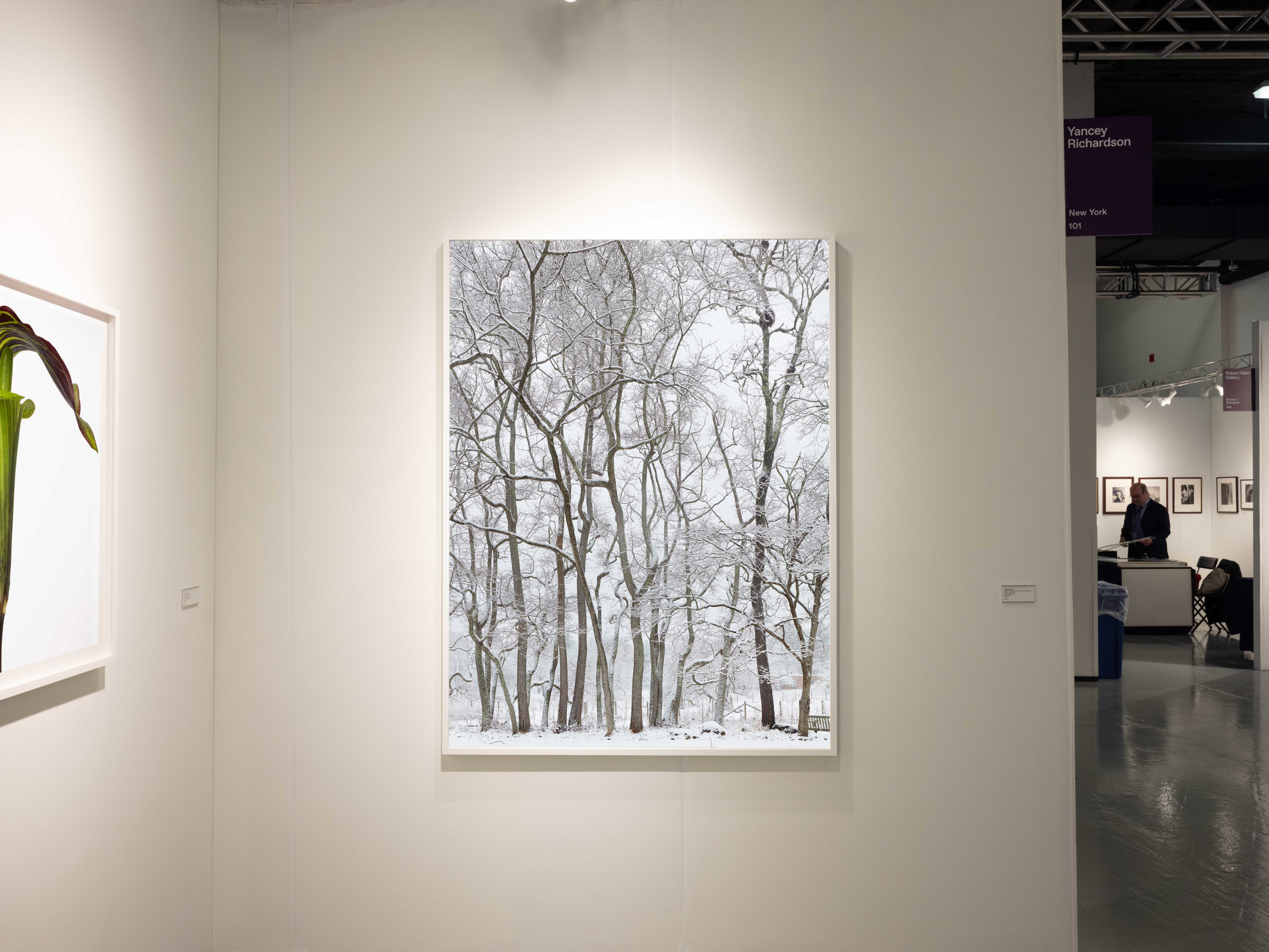 Installation view, Yancey Richardson at The Photography Show, presented by AIPAD, 2023.