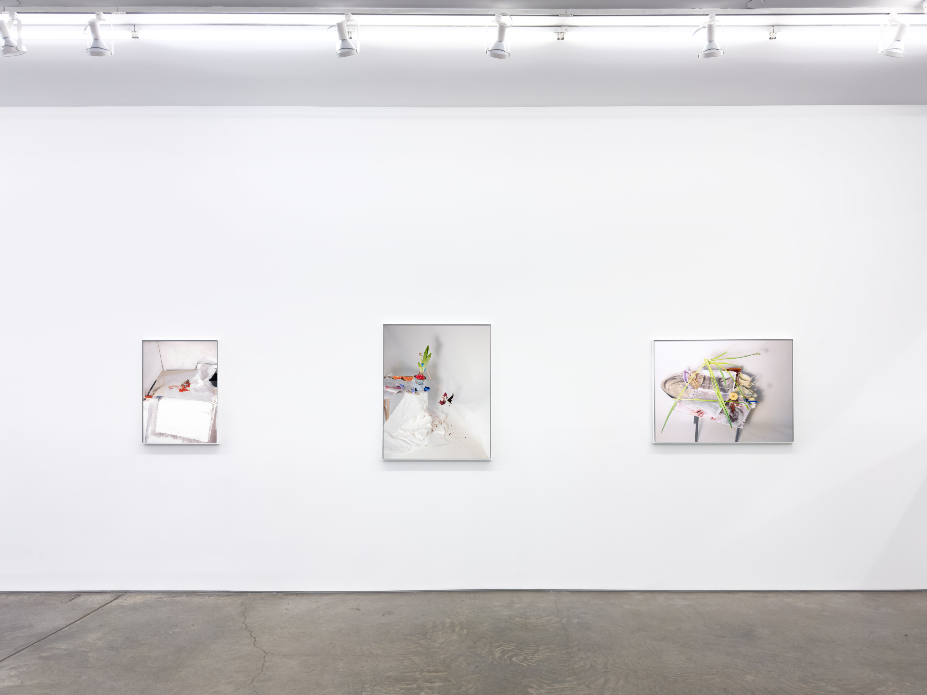 Installation view, Laura Letinsky, For, and because of..., Yancey Richardson Gallery, 2024.