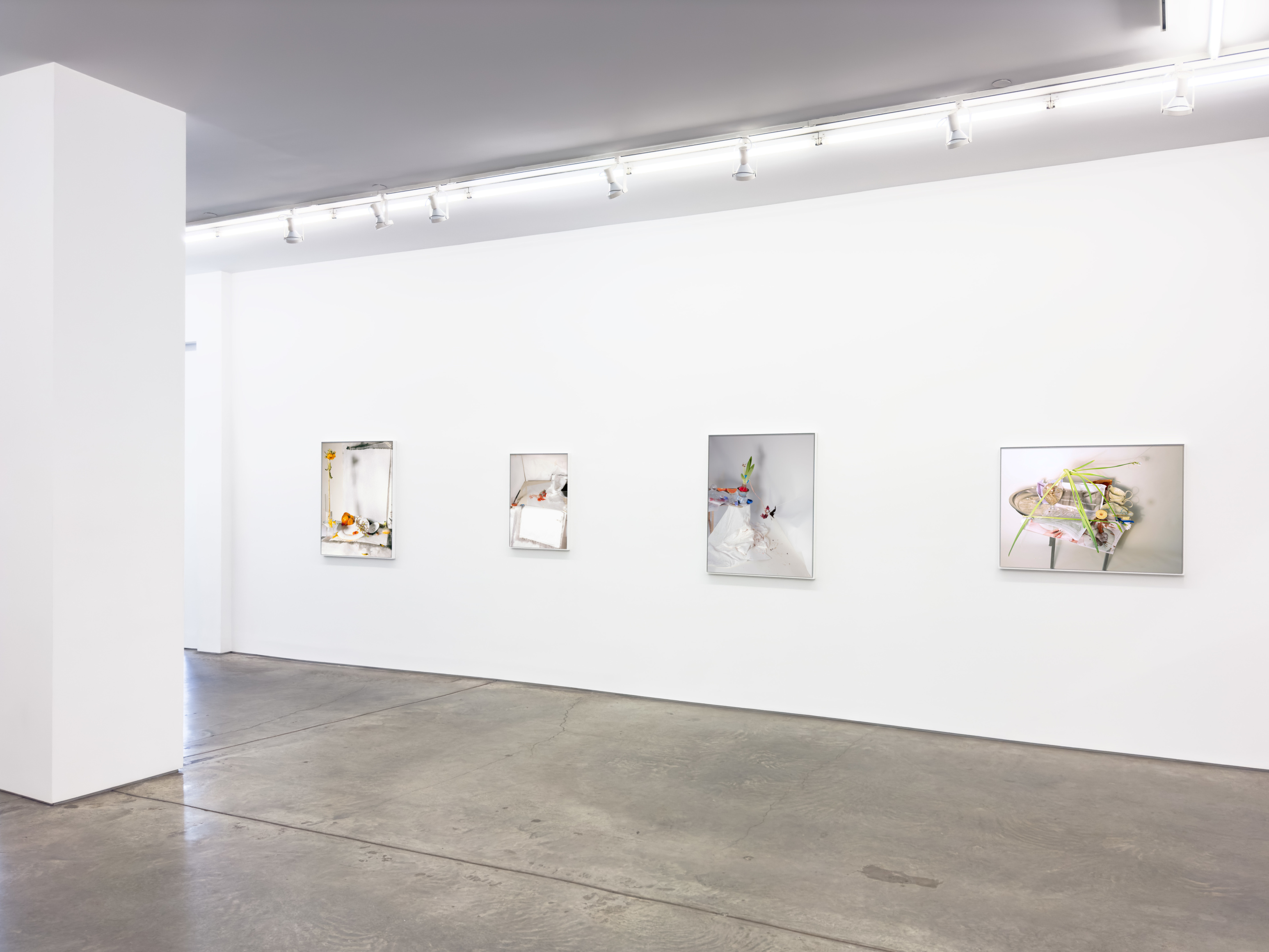 Installation view, Laura Letinsky, For, and because of..., Yancey Richardson Gallery, 2024.