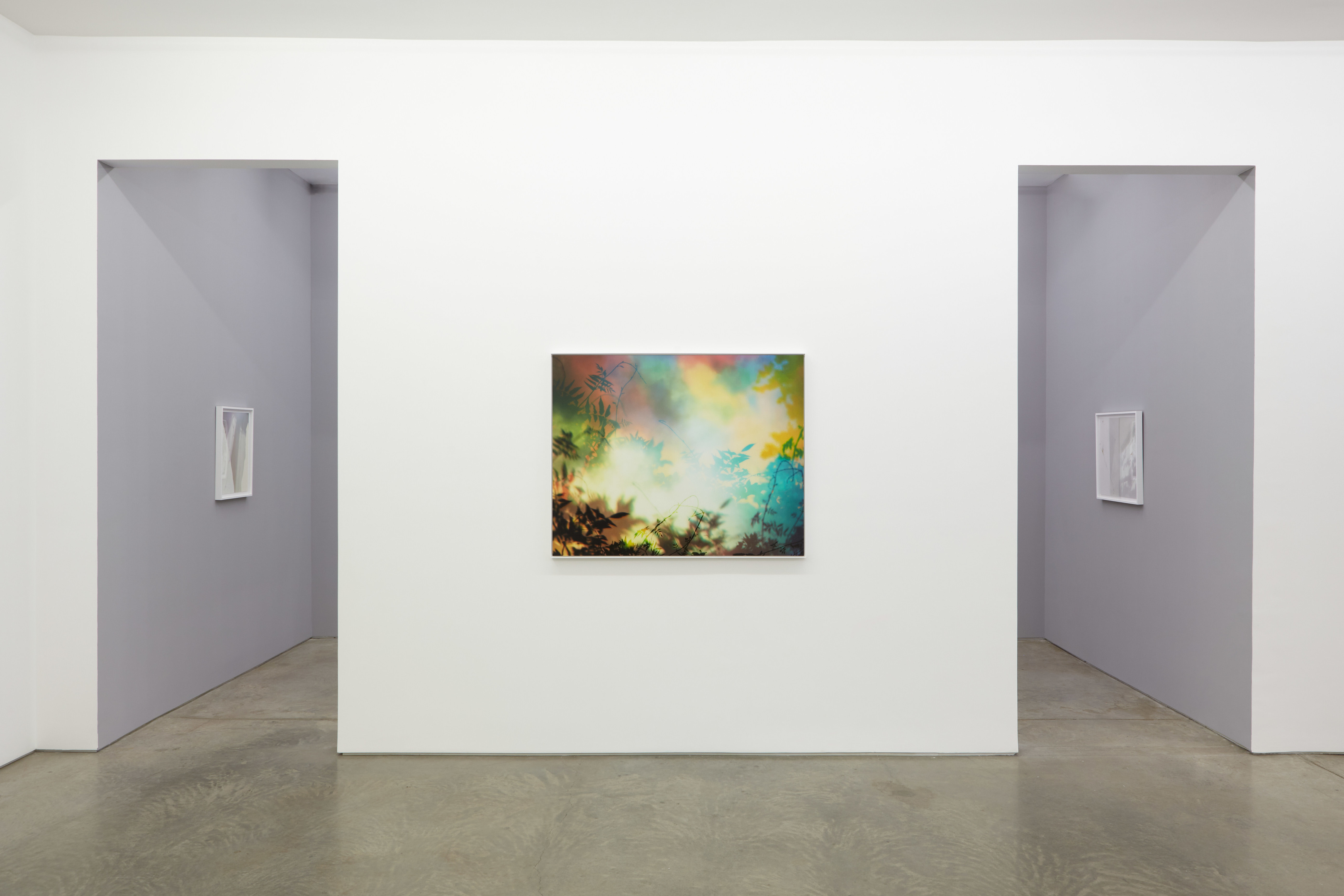Installation view.