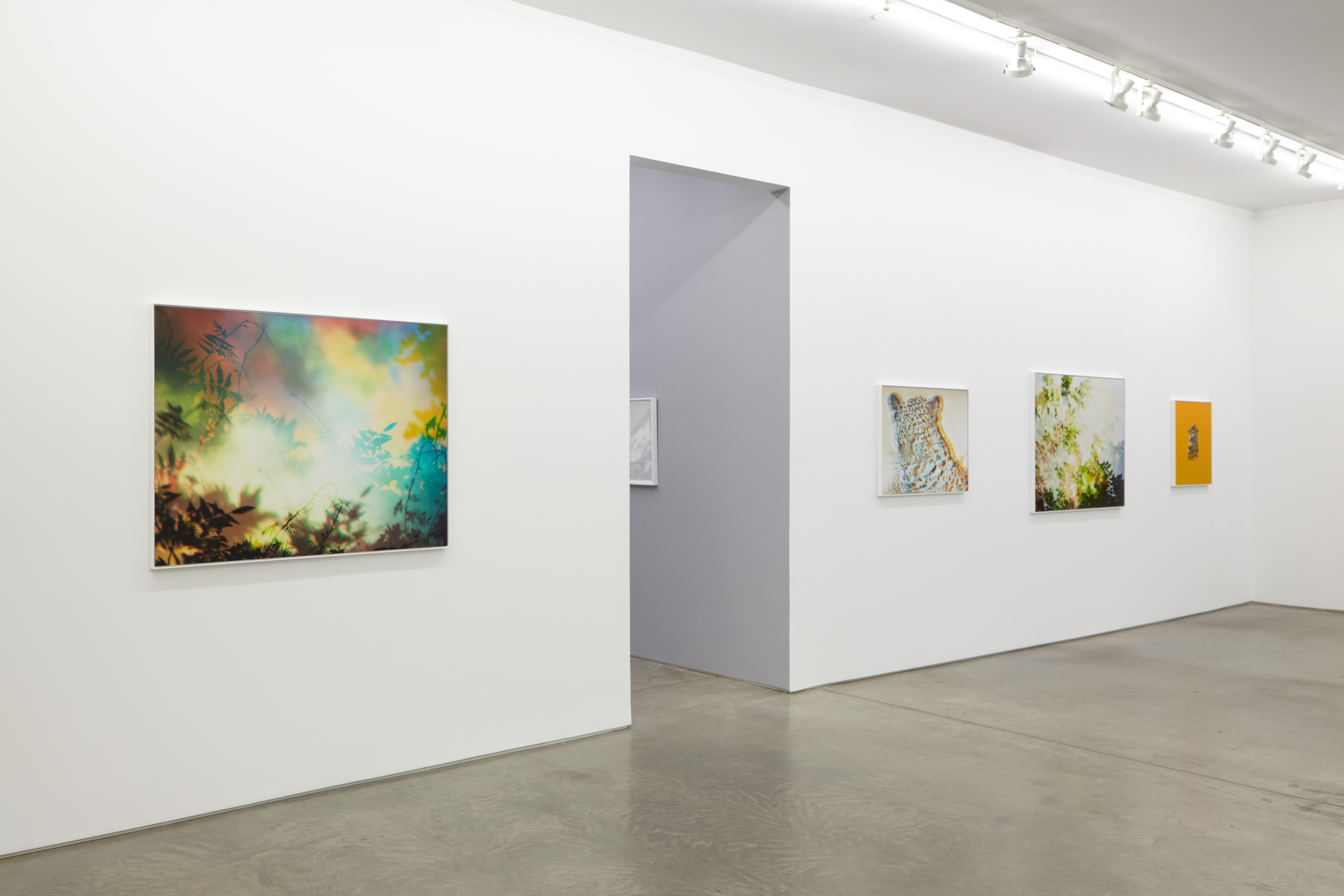 Installation view.