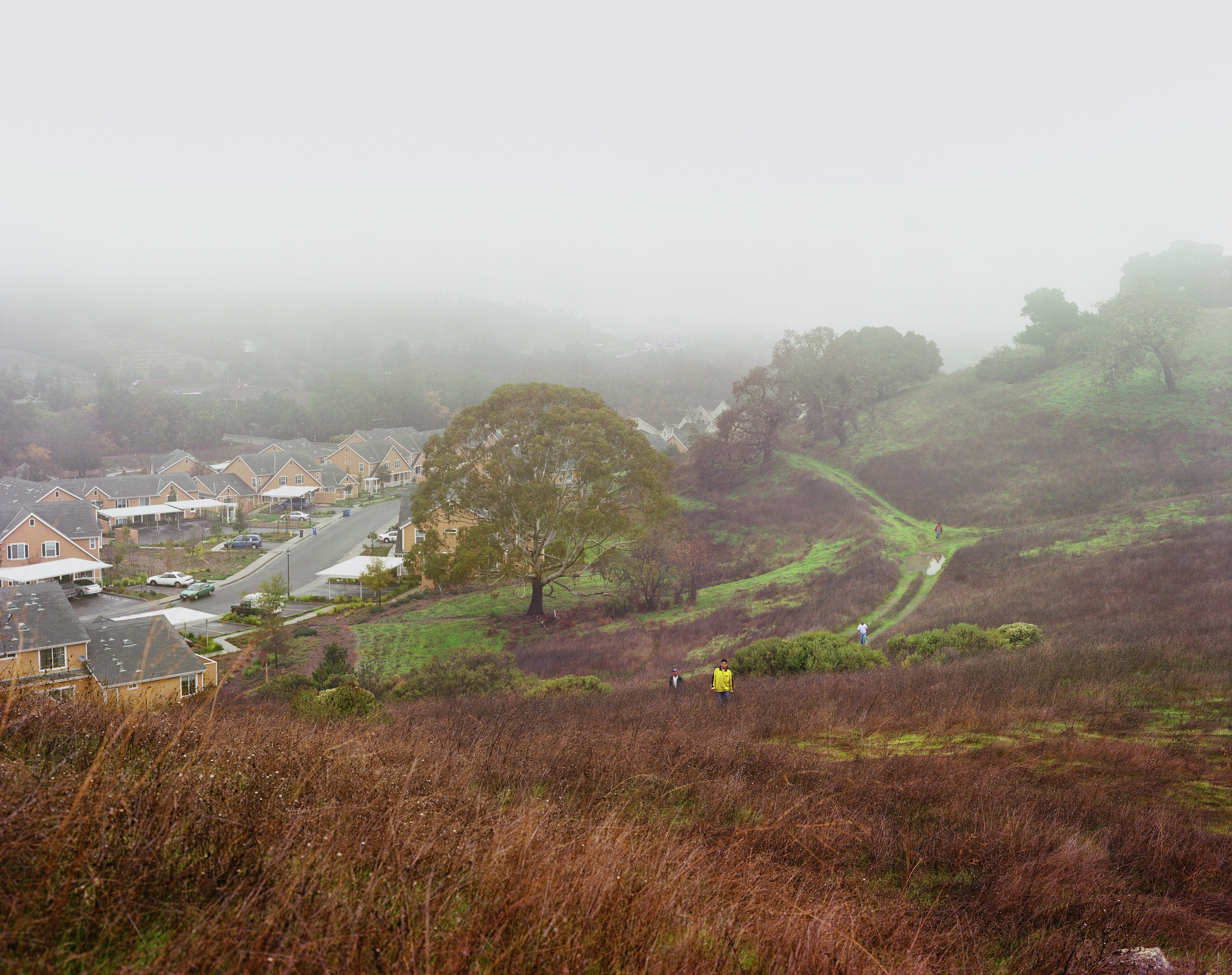 Larry Sultan, Novato,&nbsp;2009.