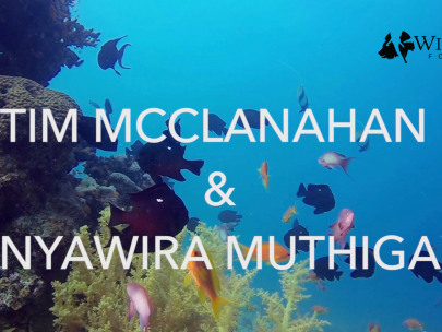 Banovich Wildscapes Foundation 2018 ACE Award for Conservation Excellence Nominees-Timothy McClanahan, PhD &amp; Nyawira Muthiga, PhD
