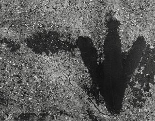 Aaron Siskind at the University of Kentucky