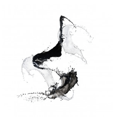 Shinichi Maruyama at the Crow Collection