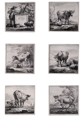Set of the Cows
