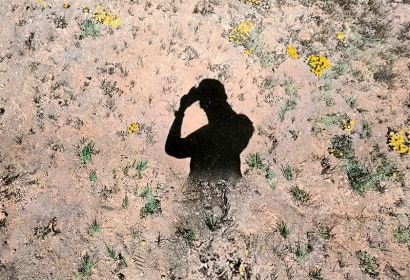 Brea Souders | Vistas