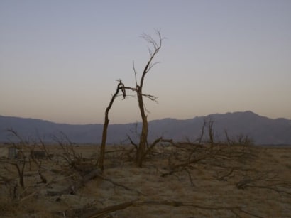 Richard Misrach