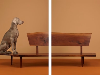 WILLIAM WEGMAN