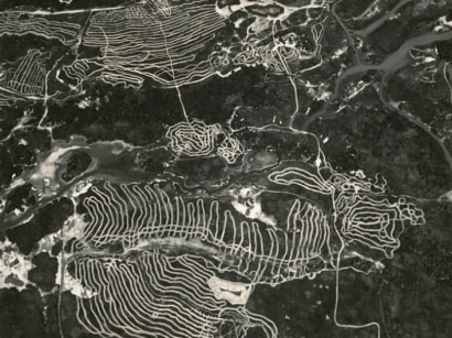 EMMET GOWIN