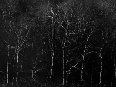Harry Callahan