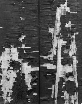  Aaron Siskind 	Chicago 53, 1952 	Gelatin silver print, printed c.1952 	14 x 11 inches