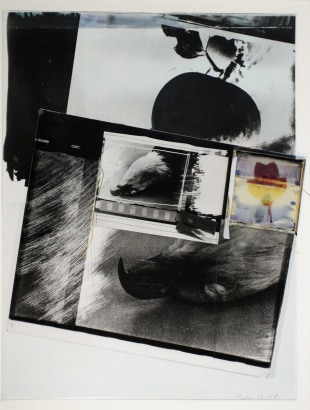 John Wood - Eagle Pelt Collage, 1988 Gelatin silver print, Polaroid SX70, stitching | Bruce Silverstein Gallery