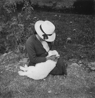 Rosalind Fox Solomon - Catalin's Valentine's Lamb, 1981 Gelatin silver print | Bruce Silverstein Gallery