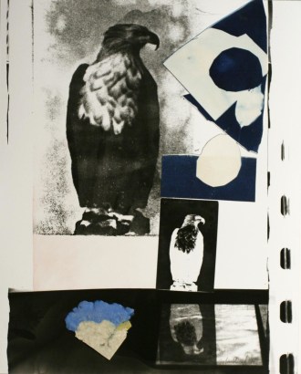 John Wood - Eagle Postcard, 1987 Gelatin silver print, cyanotype, paper pulp collage mounted to board | Bruce Silverstein Gallery