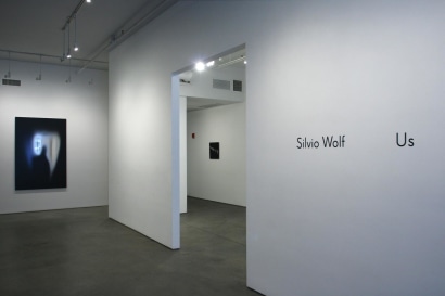 Silvio Wolf : Us | installation image 2013 | Bruce Silverstein Gallery