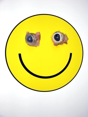  Grubstein, MarcHappy Face, 2005 	Chromogenic print 	31 x 41 inches