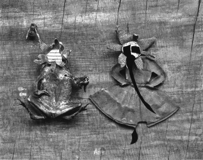 Frederick Sommer - Flower and Frog, 1947-1948 Gelatin silver print mounted to board, printed c. 1947-1948 | Bruce Silverstein Gallery