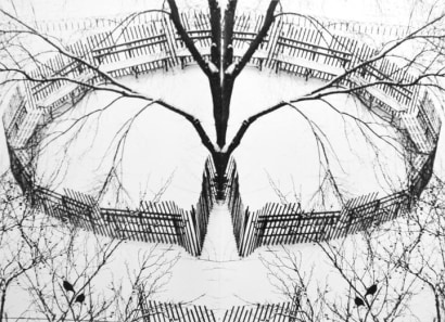 Andr&eacute; Kert&eacute;sz - A Winter Garden, New York, 1970 Gelatin silver print, printed c. 1970 ; Bruce Silverstein Gallery