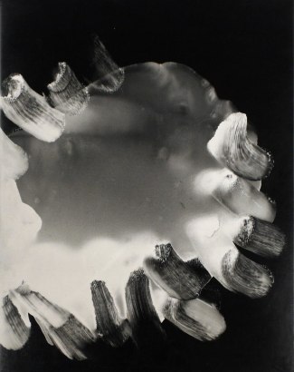 John Wood - Untitled #9, from Nine Imaginary Oil Spills, 1995 Cliche verre, gelatin silver print mounted to board, printed c. 1995 | Bruce Silverstein Gallery