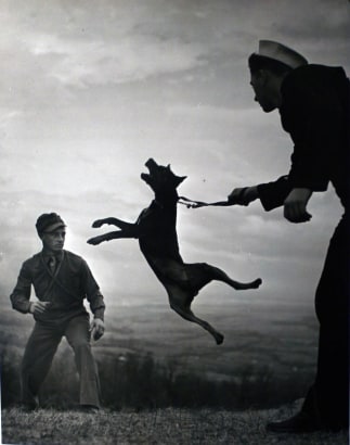 W. Eugene Smith -  Early Work, Dog Training, c. 1940  | Bruce Silverstein Gallery