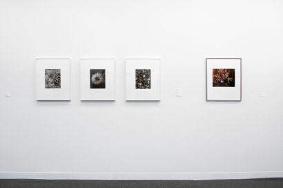 The Armory Show