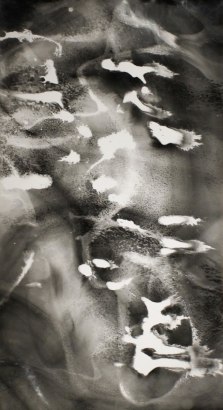 Larry Silver - Untitled #12, 2010 Gelatin silver print | Bruce Silverstein Gallery