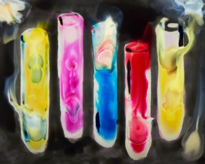 Brea Souders - Test Tubes 2, 2015 Archival inkjet print | Bruce Silverstein Gallery