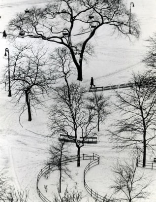 Andr&eacute; Kert&eacute;sz - Washington Square Day, 1954  | Bruce Silverstein Gallery