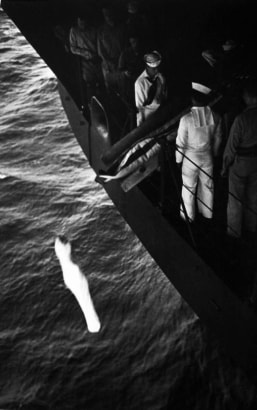 W. Eugene Smith -  World War II, Marshall Islands, Burial at Sea, 1944  | Bruce Silverstein Gallery