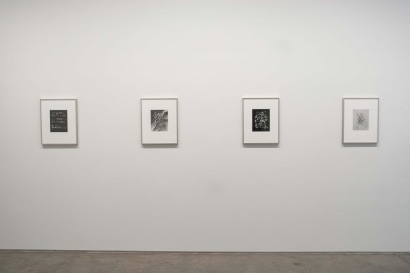 Frederick Sommer : Glue Drawings | installation image 2015 | Bruce Silverstein Gallery