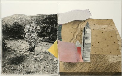 John Wood - Monument: Ocotillo Cactus, 1991 Collage | Bruce Silverstein Gallery