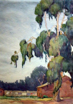 Barbara Morgan - Early California Eucalyptus Tree, 1921 Watercolor on paper | Bruce Silverstein Gallery