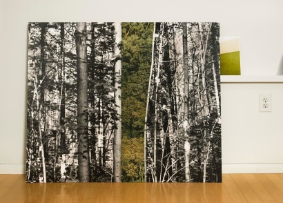 Eileen Neff - Forest in the Studio, 2014 | Bruce Silverstein Gallery