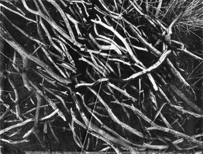 John Wood - Actual Line and Arranged Pinon Branches, 1967 Gelatin silver print with taut string mounted to board | Bruce Silverstein Gallery