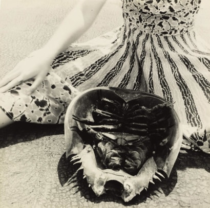 Francesca Woodman - Untitled (Horseshoe Crab, Providence), c. 1976 Gelatin silver print, printed c. 1976&nbsp; | Bruce Silverstein Gallery